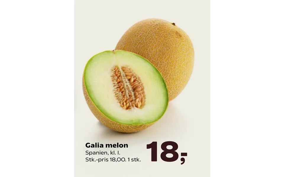 Galia Melon