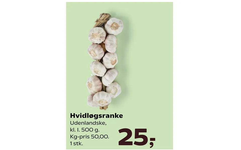 Hvidløgsranke