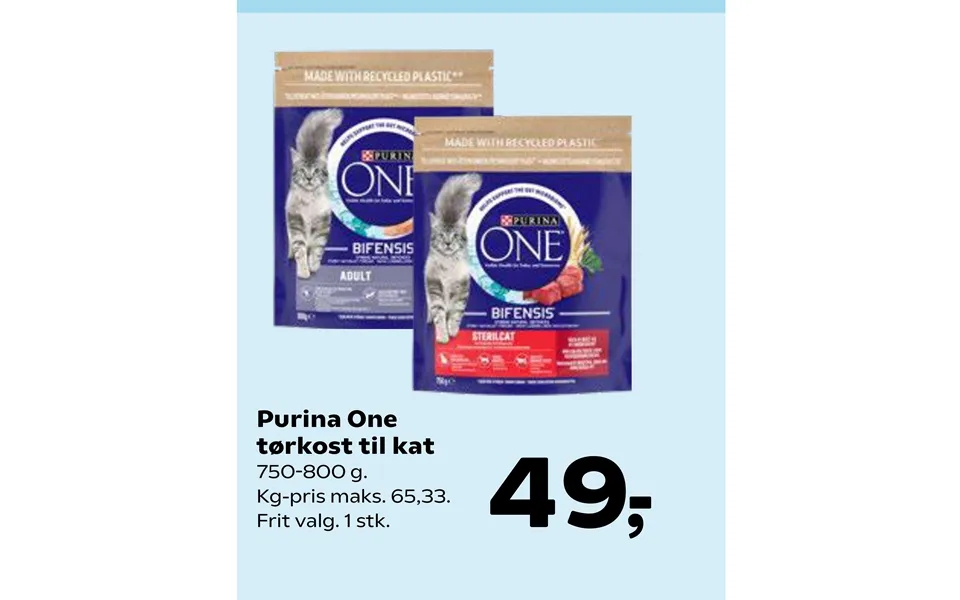 Purina one dry food to cat