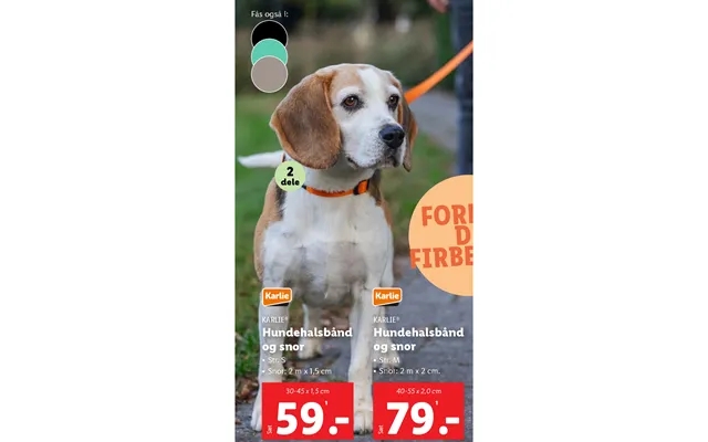 Hundehalsbånd Og Snor Hundehalsbånd Og Snor product image