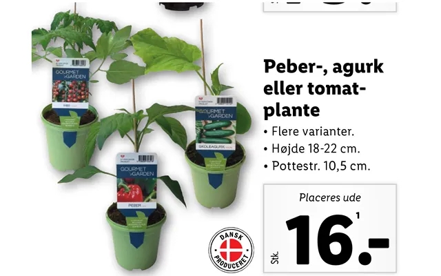 Peber-, Agurk Eller Tomatplante product image