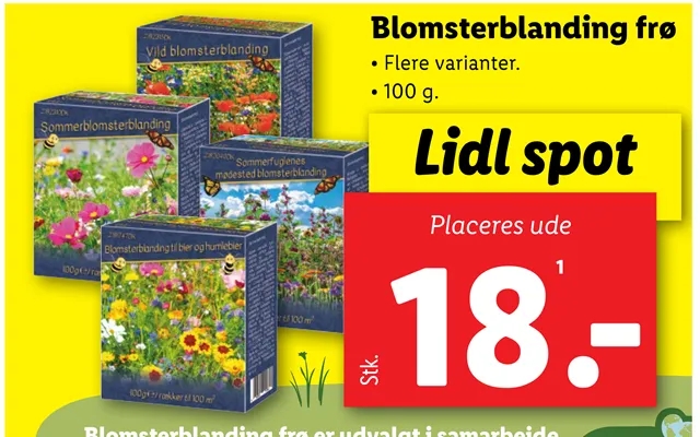 Blomsterblanding Frø product image
