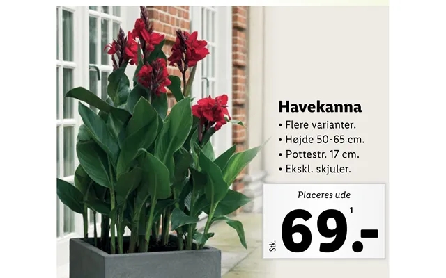 Havekanna product image