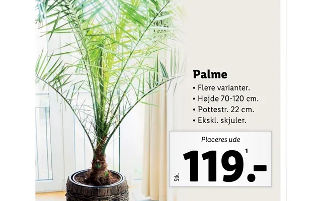 Palme product image