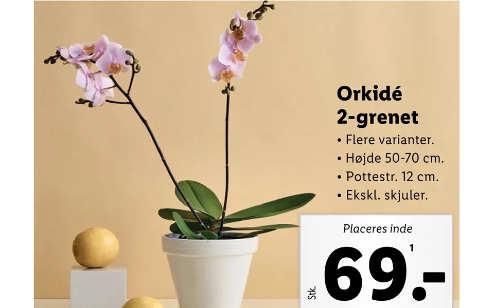Orkidé 2-grenet