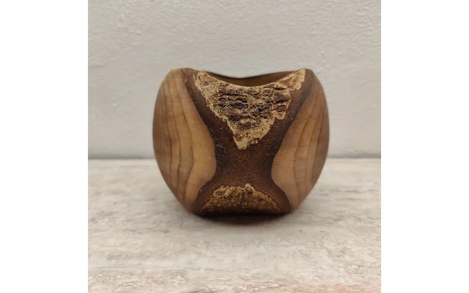 Bowl turned in wood 2