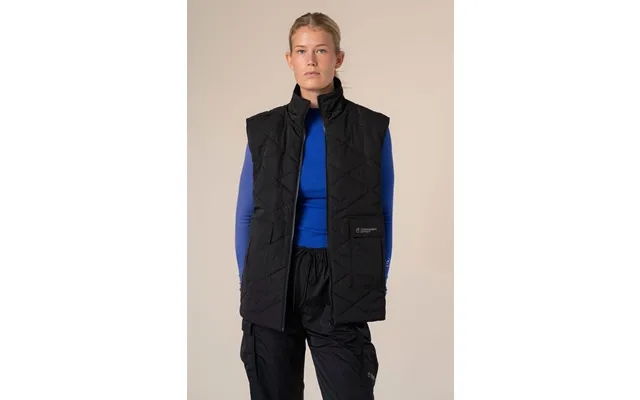 Coast Quilted Vest product image