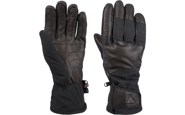 Davis 2 ski gloves product image