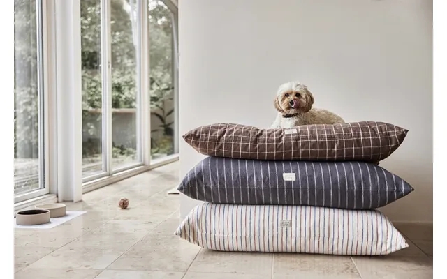 Kyoto dog cushion medium product image