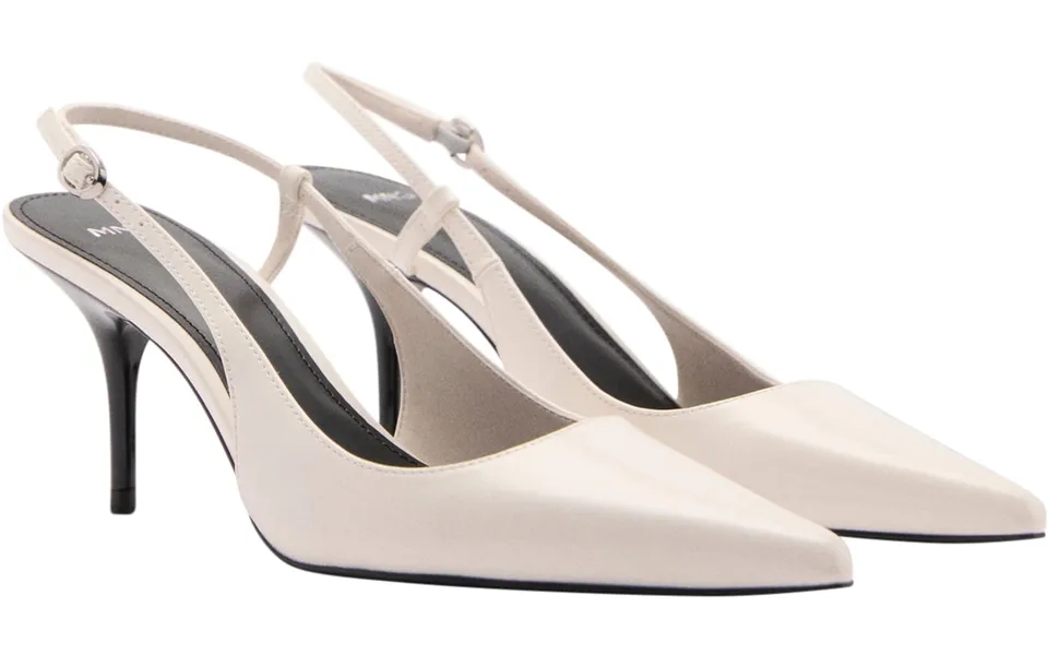 Pointed Toe Heel Shoes