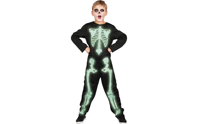 Fluorescent skeleton str 160 product image
