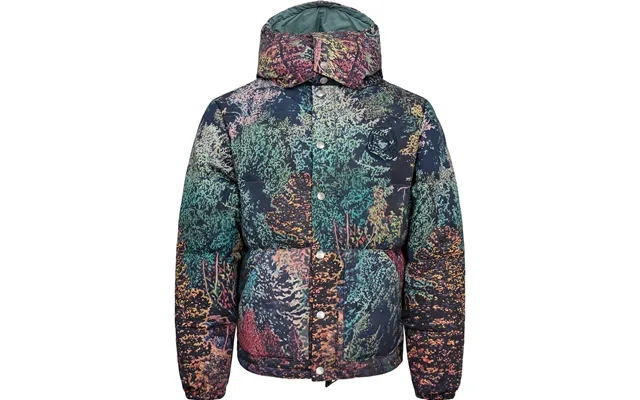 Wilderness Down Filled Hooded Jacket product image