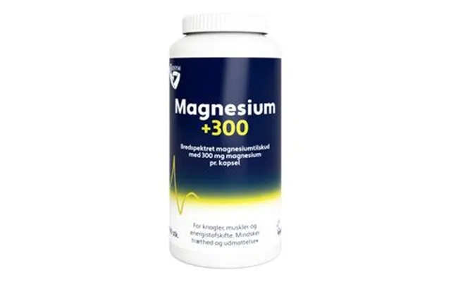 Magnesium 300 - 160 Kaps. product image
