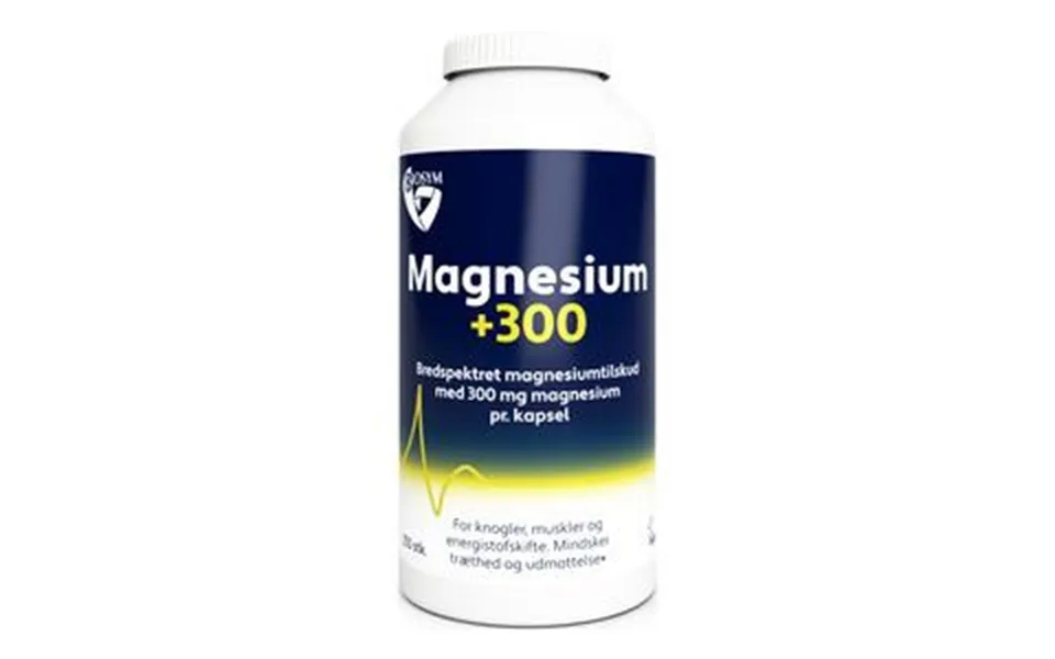 Magnesium 300 - 250 Kaps.