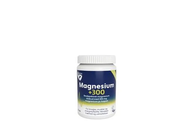 Magnesium 300 - 60 kaps. product image