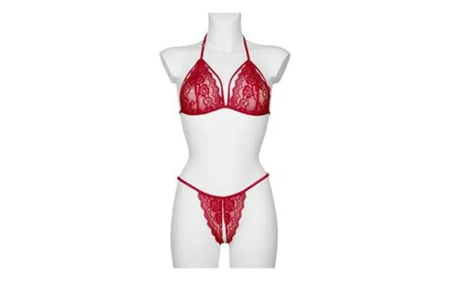 Nortie set with bra past, the laws bottomless briefs, red - one size product image