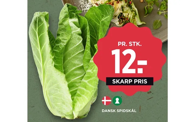 Dansk Spidskål product image