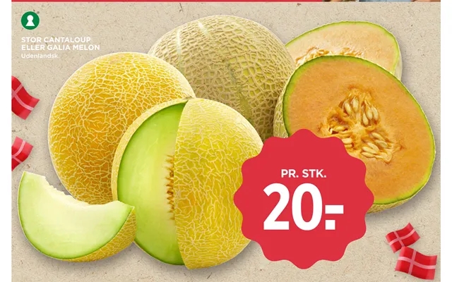 Large cantaloupe or galia melon product image