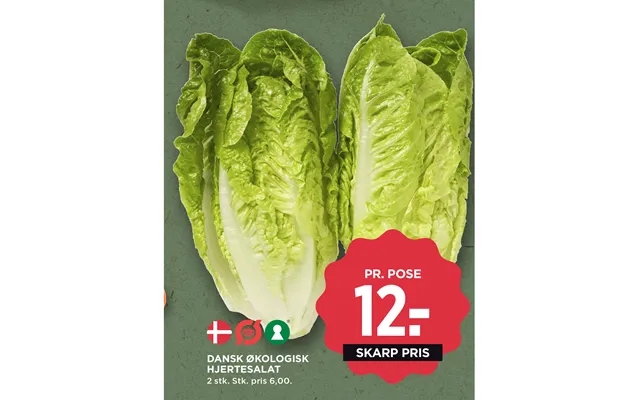Danish organic hjertesalat product image