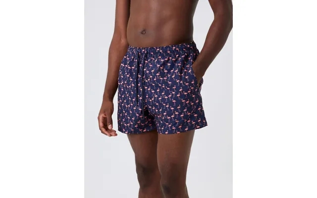 Castle print swim shorts - bb ziggy product image