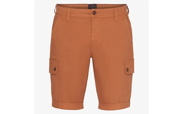 Kensi Shorts product image