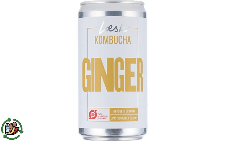 Kombucha ingefæ læsk