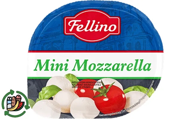 Mini mozzarella fellino product image