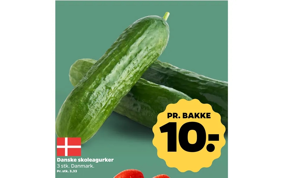 Danish skoleagurker