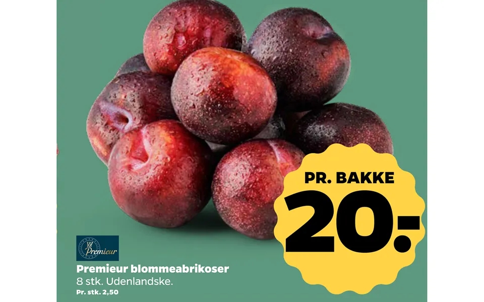 Premieur blommeabrikoser