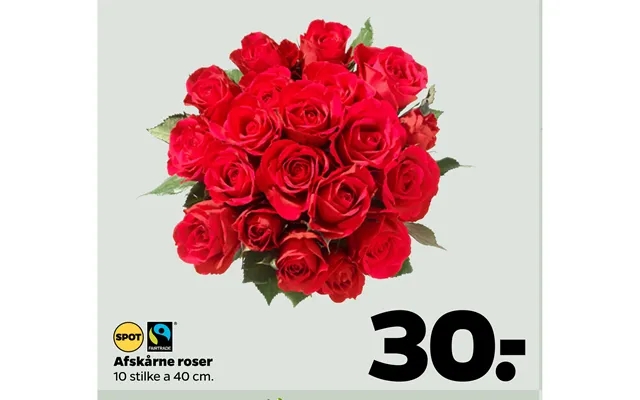 Cut roses product image