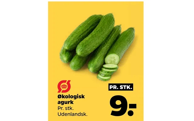 Økologisk Agurk product image