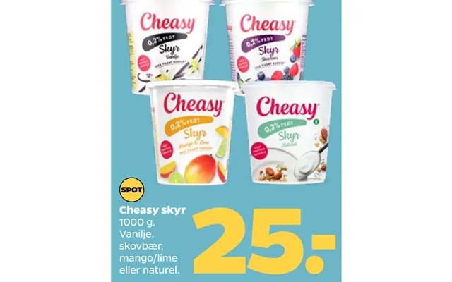 Cheasy Skyr product image