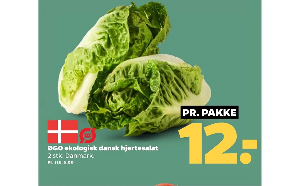 Øgo Økologisk Dansk Hjertesalat