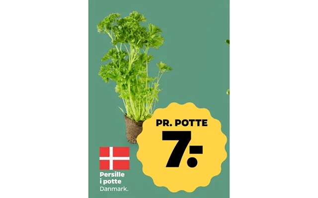 Parsley in potty product image