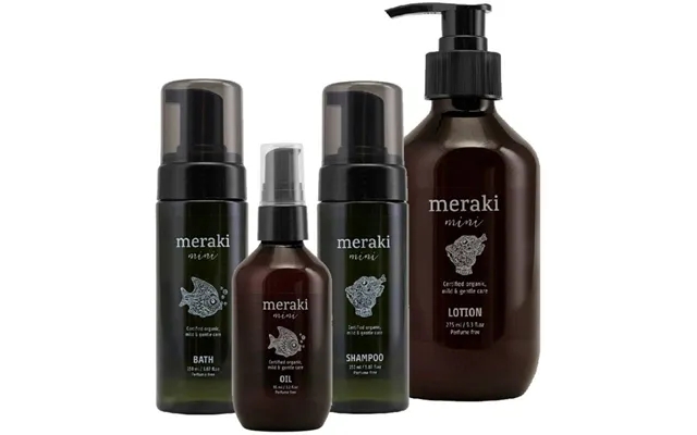 Meraki Mini Kit product image