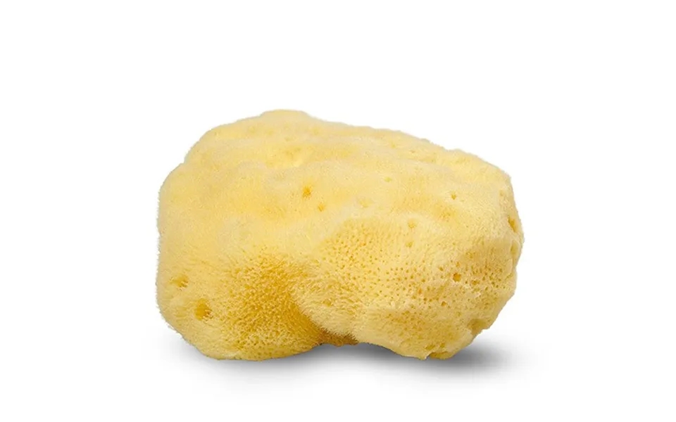 Cocoon company silk sponge 10-11 cm.