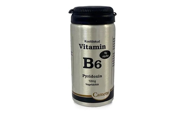 Camette Vitamin B6 Pyridoxin - 90 Tab. product image
