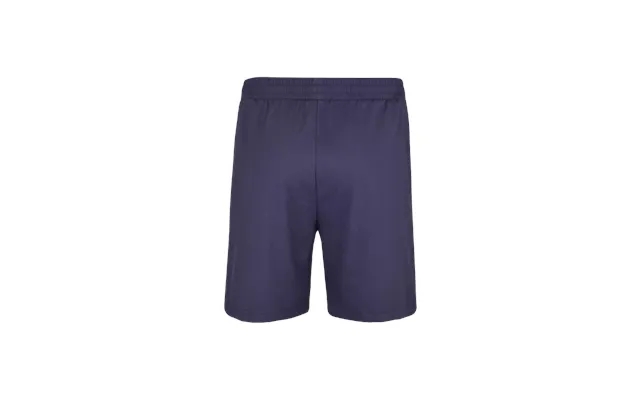 Babolat Shorts - Navy product image