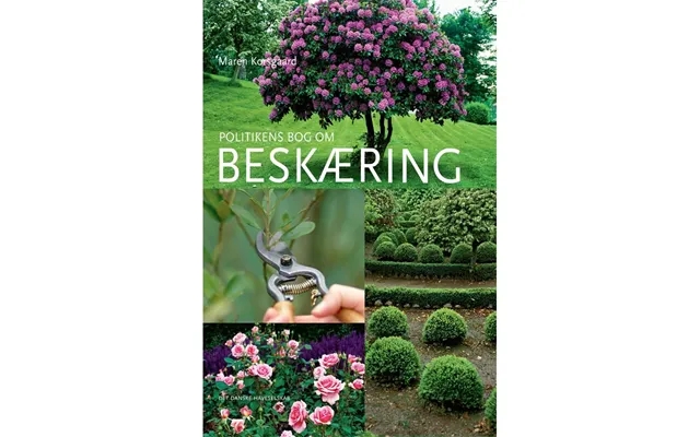 Efficacy of the policy book about pruning - have product image