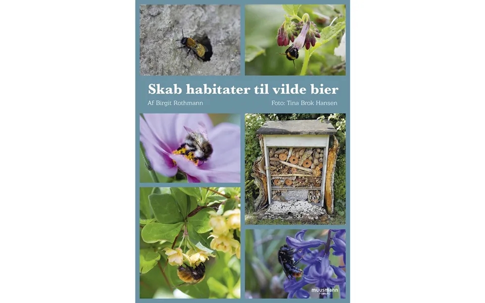 Skab Habitater Til Vilde Bier - Have