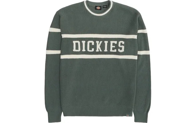 Dickies Melvern Knit Grøn product image