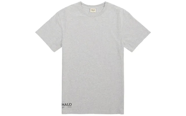 Halo heavy melange t-shirt gray product image