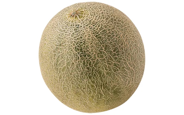 Cantaloupe melon product image