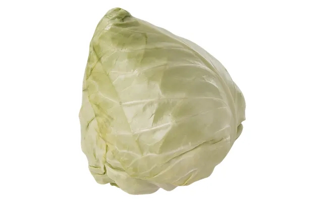 Cabbage product image