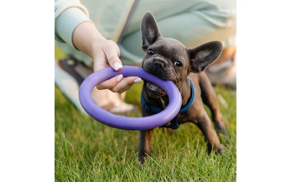 Hunde Anti-bide Træningsring Ø9 Cm Af Gummi - Ass. Farver -