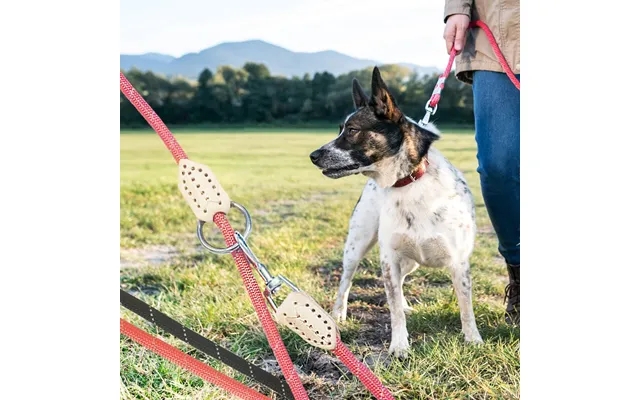 Dog leash 2 meter m carabiner in chrome - round product image