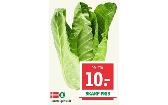 Danish cabbage product image