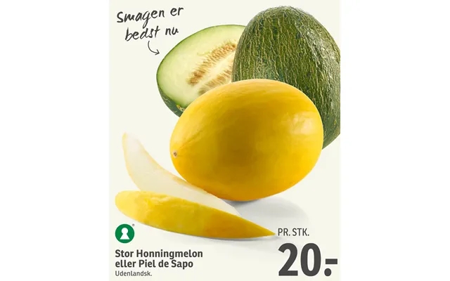 Stor Honningmelon Eller Piel De Sapo product image