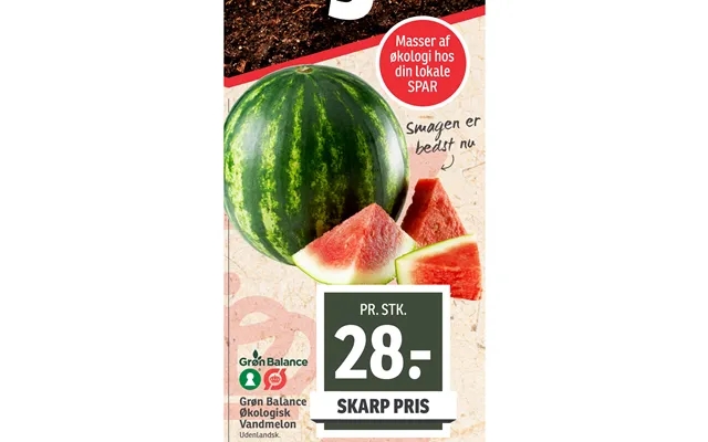 Økologisk Vandmelon product image