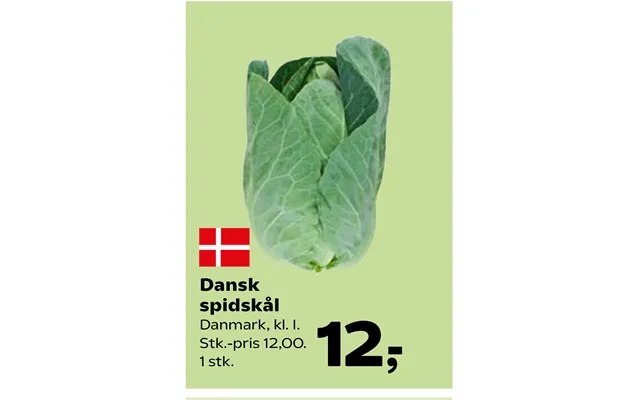 Dansk Spidskål product image